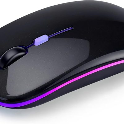 Havit Dual-Mode Wireless Mouse HV-MS58WB
