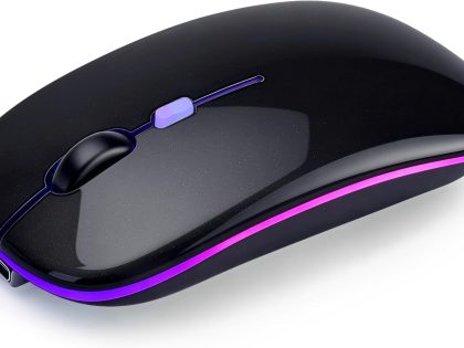 Havit Dual-Mode Wireless Mouse HV-MS58WB
