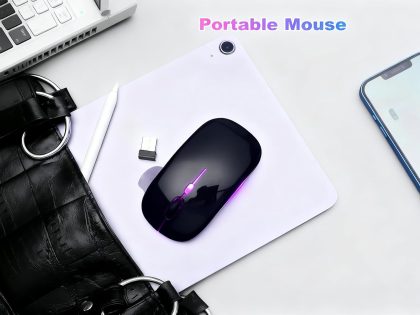 Havit PC Series Wireless Mouse HV-MS46WB