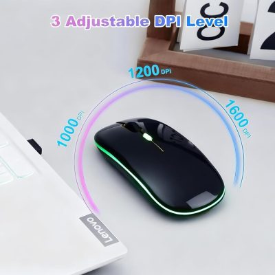 Havit Pro Dual-Mode Wireless Mouse HV-MS62WB