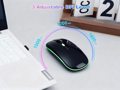 Havit Pro Dual-Mode Wireless Mouse HV-MS62WB