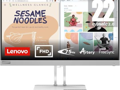 Lenovo L22E-40 21.5-Inch Monitor