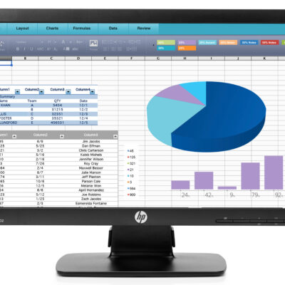 HP P202 20" Monitor