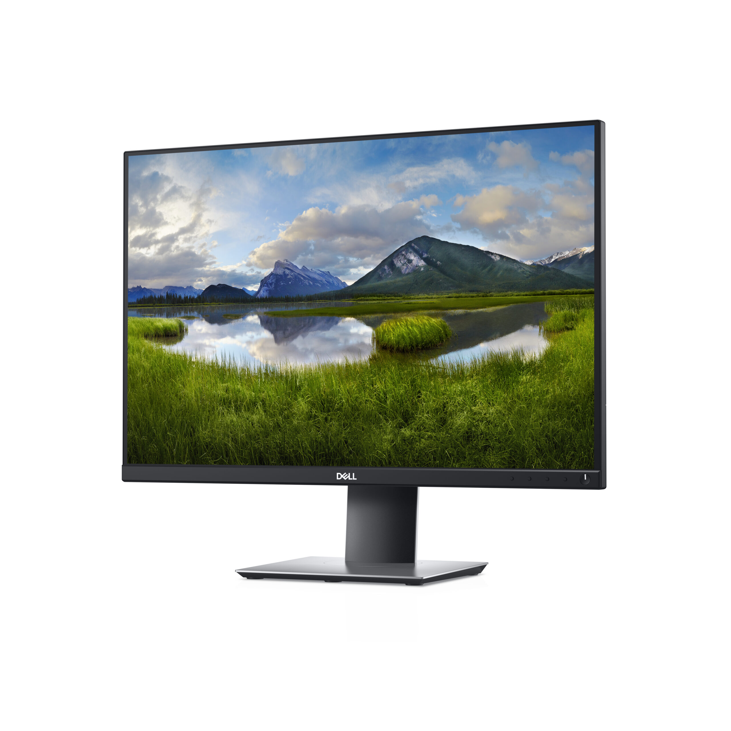 DELL P2421 24" Monitor 2 DELL P2421 24" Monitor - Image 2