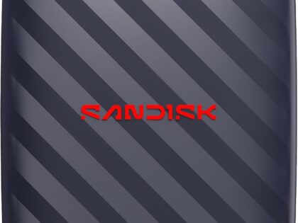 SanDisk E10 Portable External SSD 1TB (SDSSDE10-1T00-G25)
