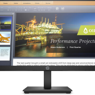 HP P224 22" Monitor