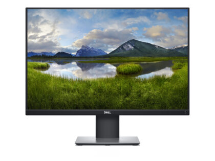 DELL P2421 24" Monitor