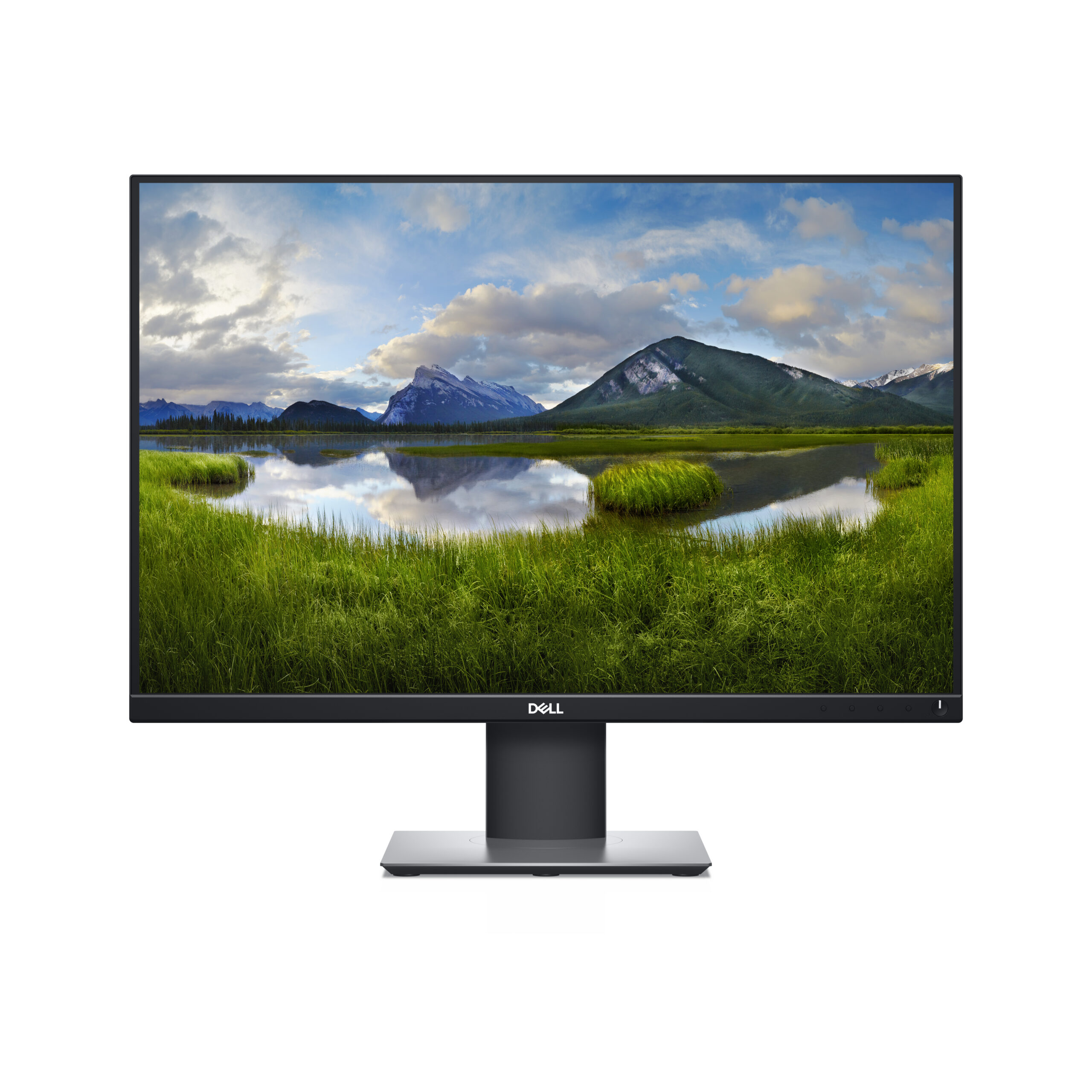 DELL P2421 24" Monitor 1 DELL P2421 24" Monitor