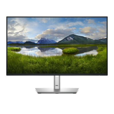 DELL P2425H 24" Monitor