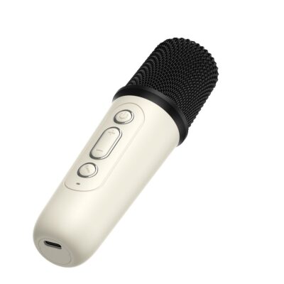 Havit SingStar Karaoke Bluetooth Speaker with Mic HV-SK819BT