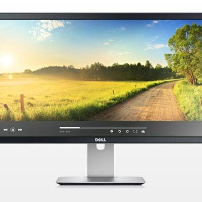 DELL P2414HB 24" Monitor